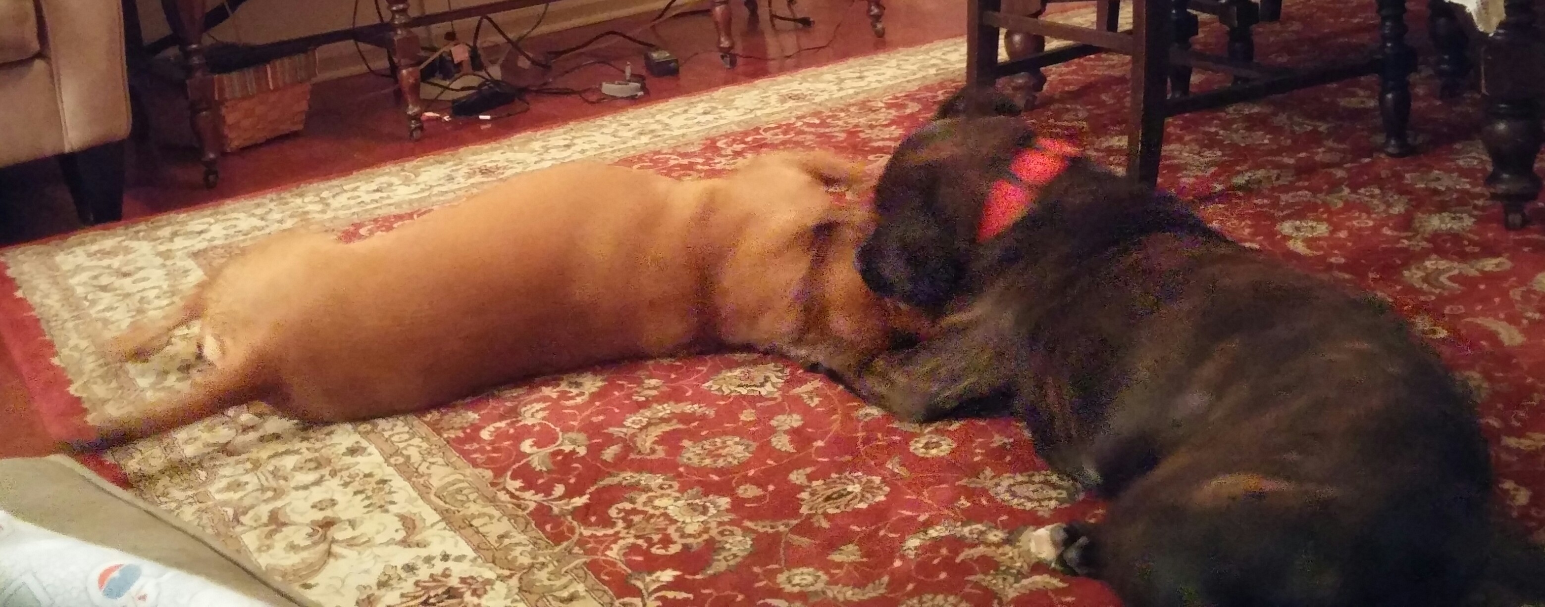 Lucy whispering to Riley